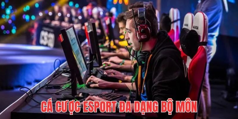 Cá cược Esport HITCLUB ảnh nền