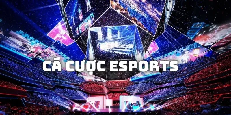 Cá cược Esport HITCLUB thỏa mãn niềm đam mê cá cược của bạn