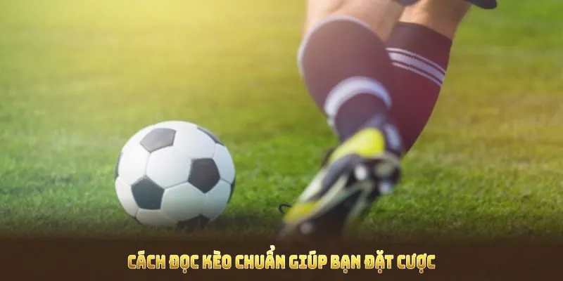 Cược thủ HITCLUB chơi theo cách cược châu Âu