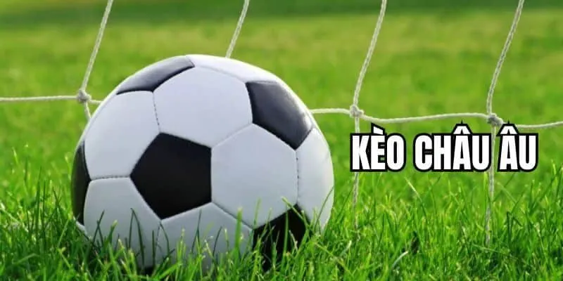Hướng dẫn anh em HITCLUB cách đọc kèo châu Âu bóng đá chuẩn 