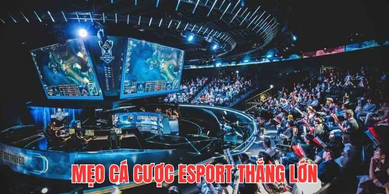 Trải nghiệm Esport vô cùng dễ dàng